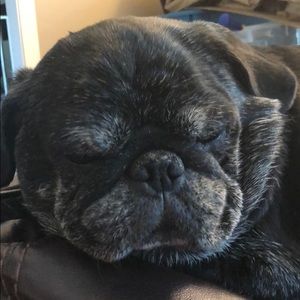 Meet your Posher, Leslie